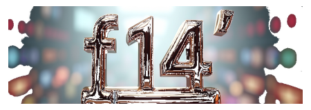 f 14 logo